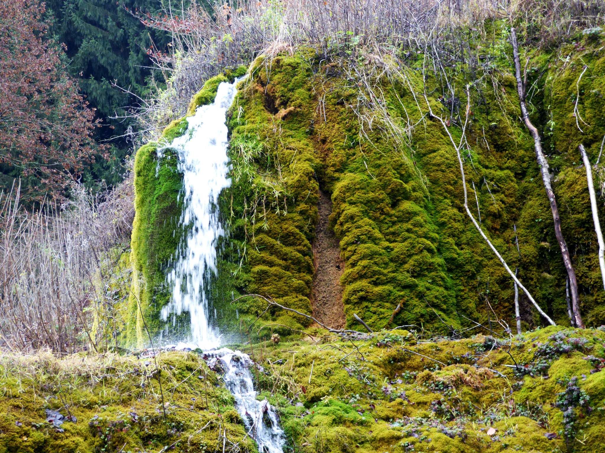 Dreiborner Wasserfälle oder Umgangssprachlich Nohner Wasserfälle in der Kalkeifel